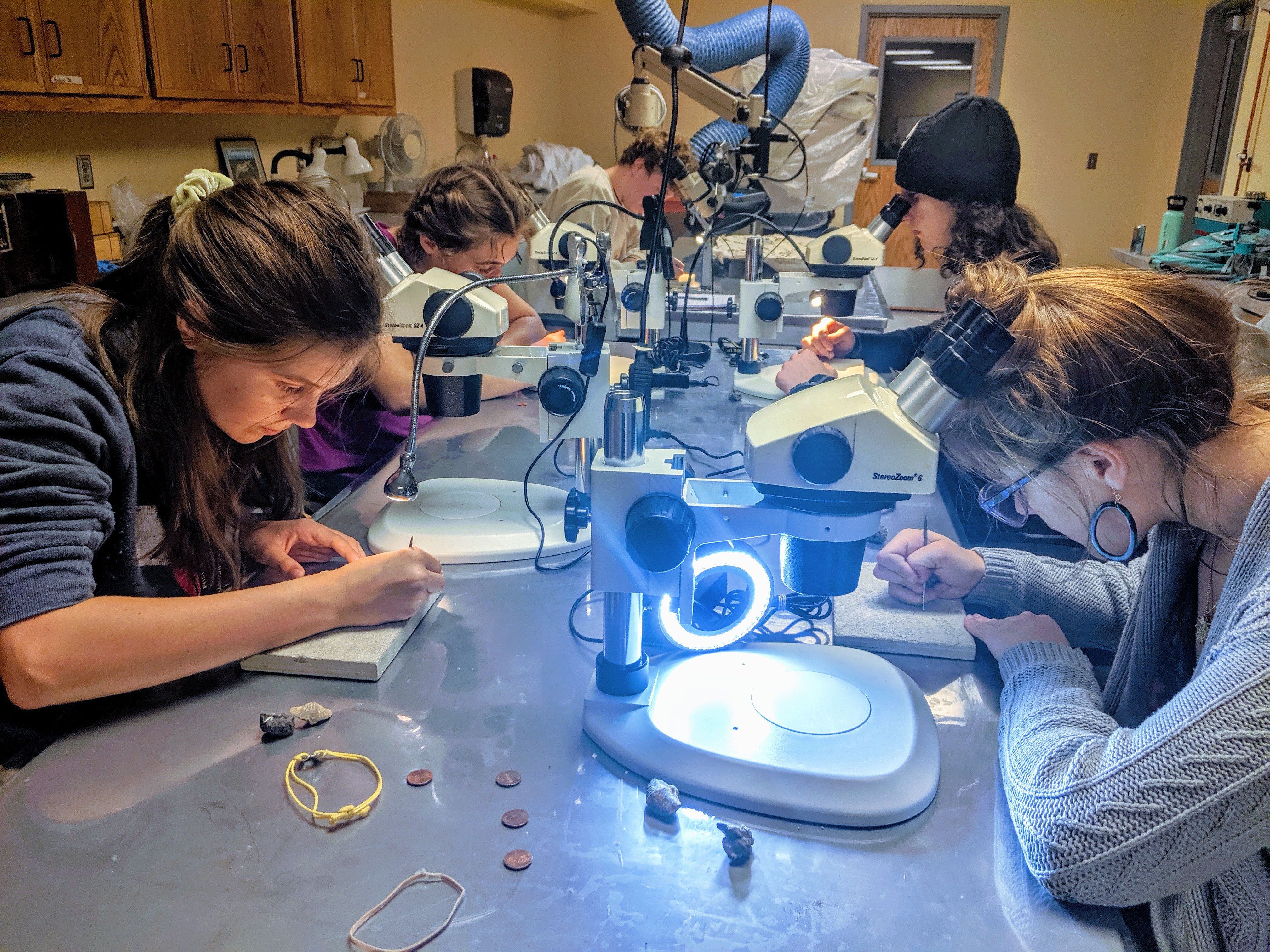 Fossil Preparation Lab