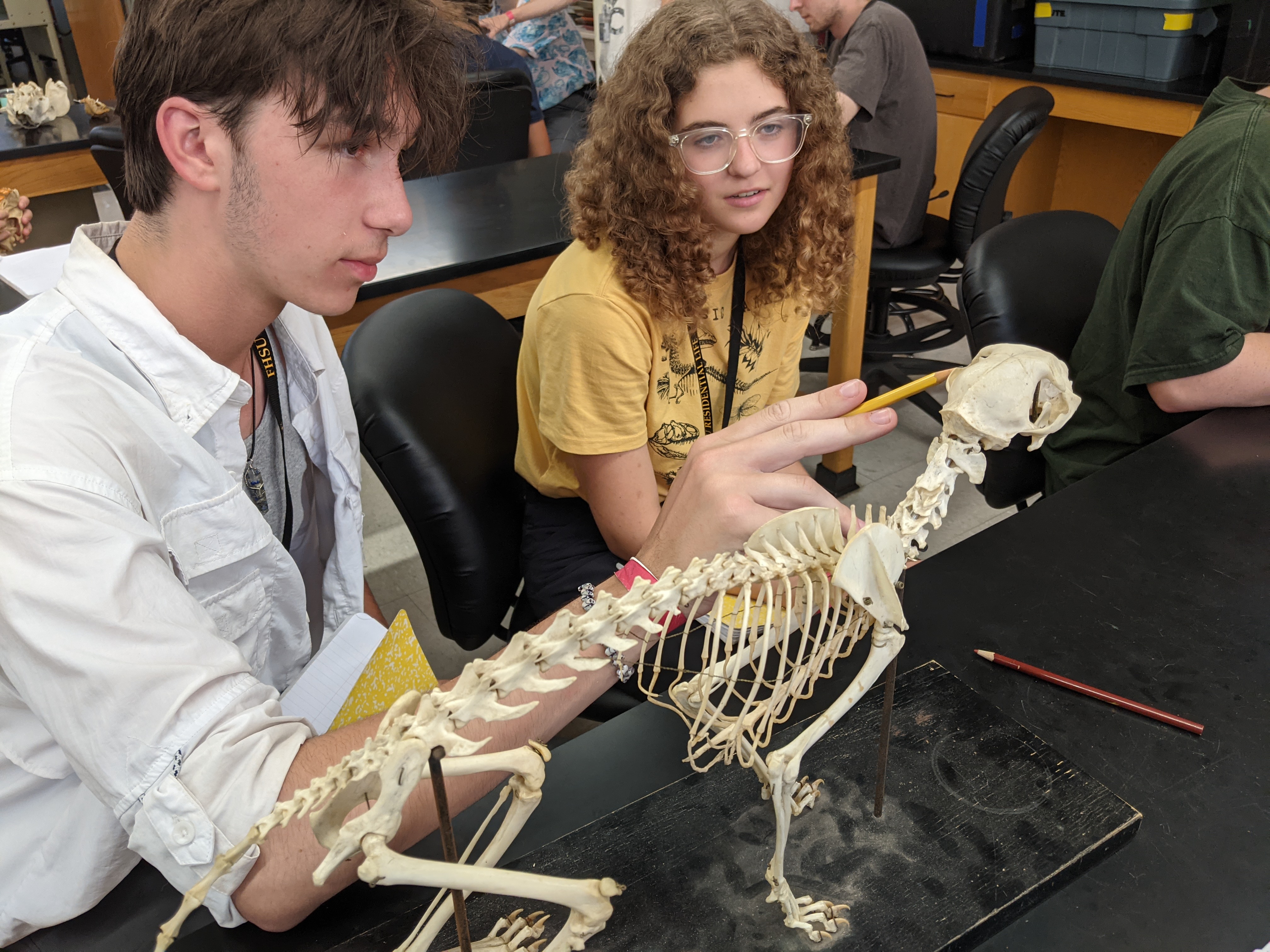 Comparative anatomy lab