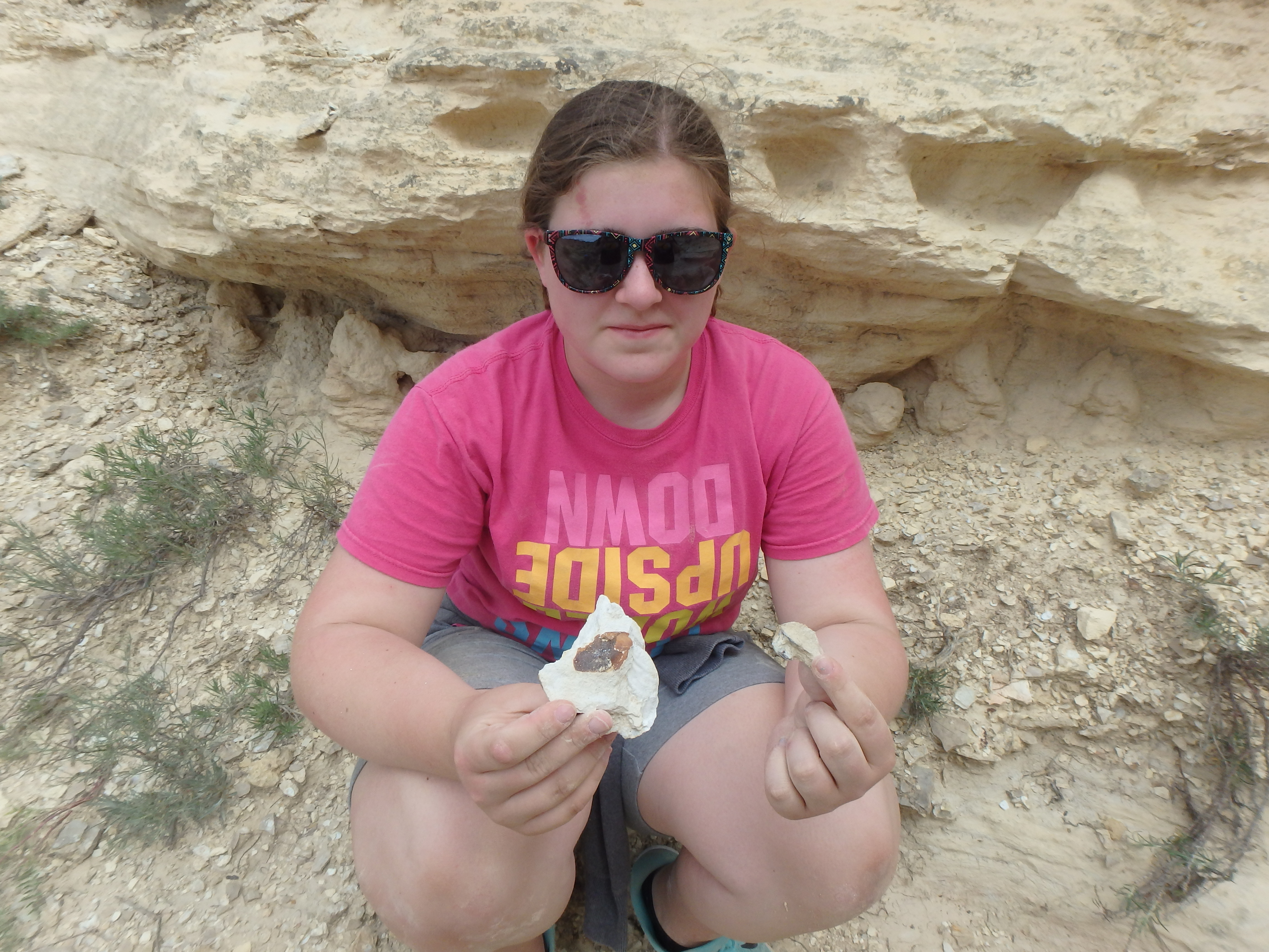 Fossil fish scale in Kansas