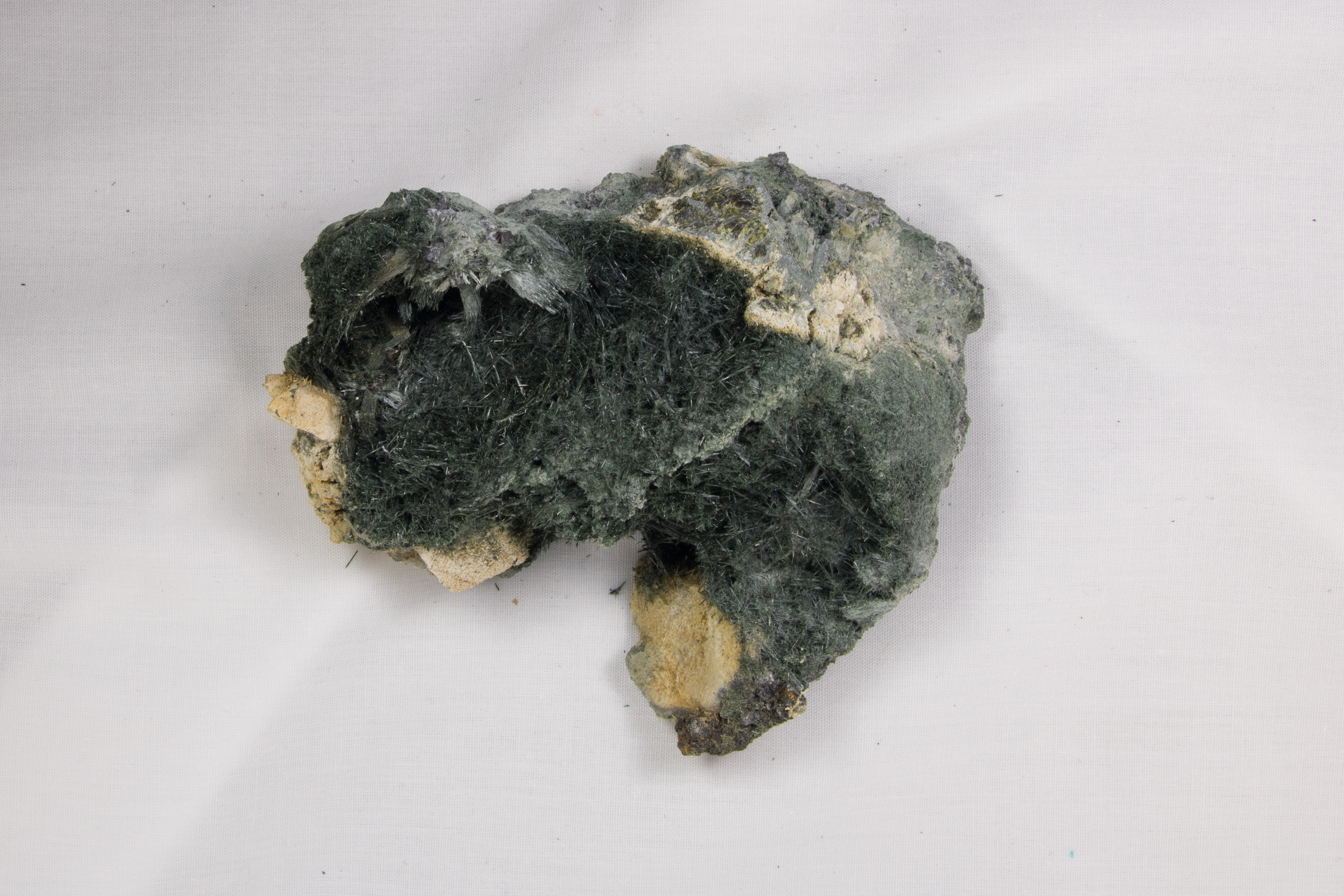 actinolite-fhsmg399web.jpg