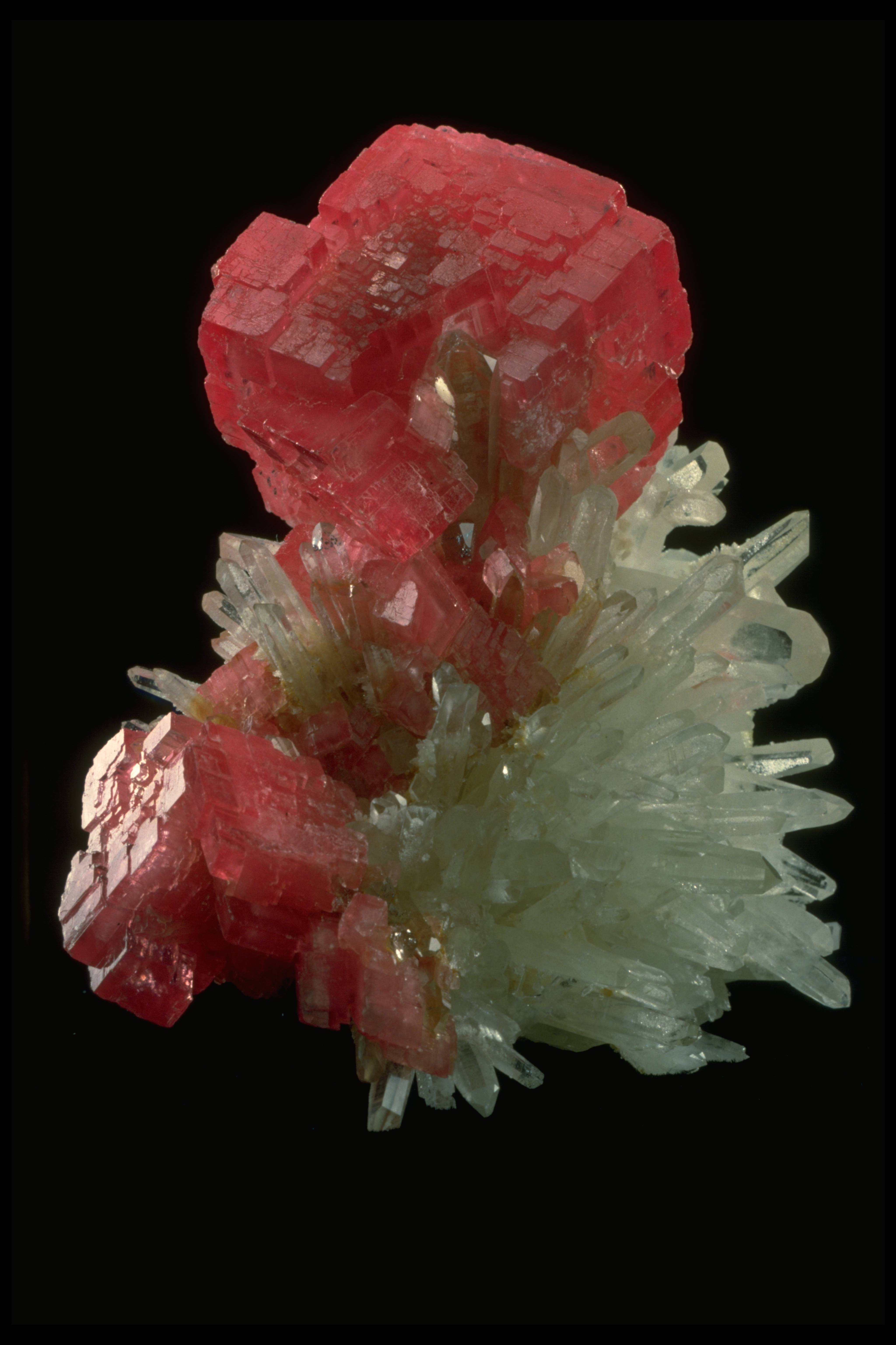 rhodochrosite-nmnh_147520.jpg